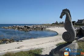 Seahorse and Beach